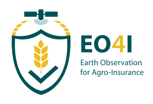 EO4I Logo